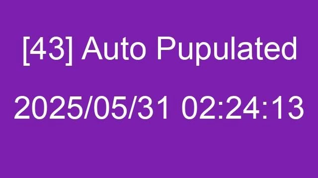 [43] Auto 2025/05/31 02:24:13