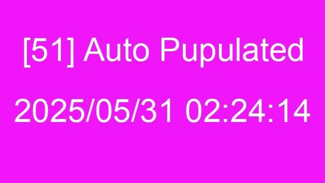 [51] Auto 2025/05/31 02:24:14