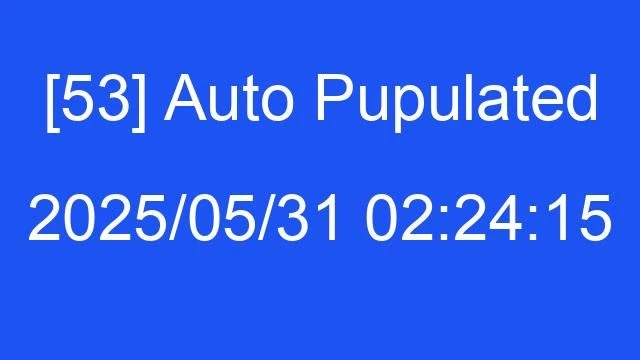 [53] Auto 2025/05/31 02:24:15