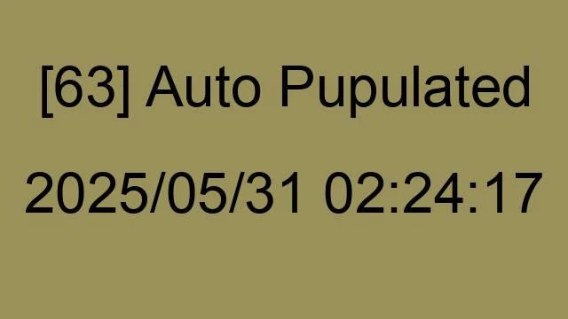 [63] Auto 2025/05/31 02:24:17