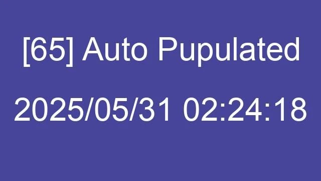 [65] Auto 2025/05/31 02:24:18