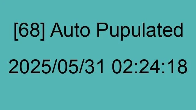 [68] Auto 2025/05/31 02:24:18
