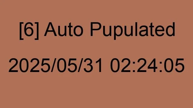 [6] Auto 2025/05/31 02:24:05