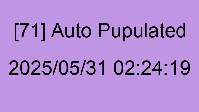 [71] Auto 2025/05/31 02:24:19