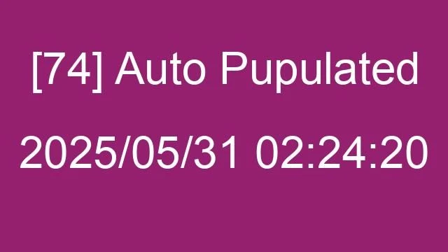 [74] Auto 2025/05/31 02:24:20