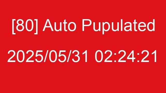 [80] Auto 2025/05/31 02:24:21