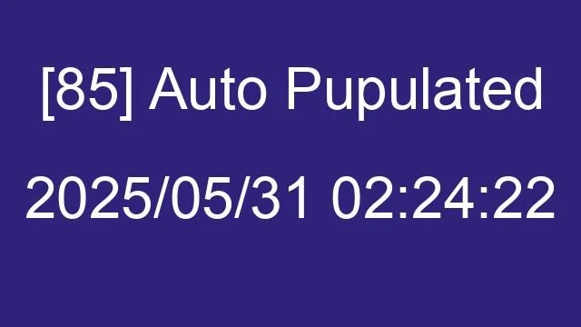 [85] Auto 2025/05/31 02:24:22