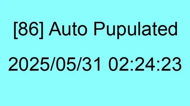 [86] Auto 2025/05/31 02:24:23