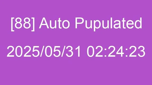 [88] Auto 2025/05/31 02:24:23