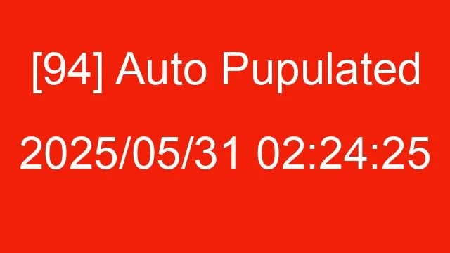 [94] Auto 2025/05/31 02:24:25