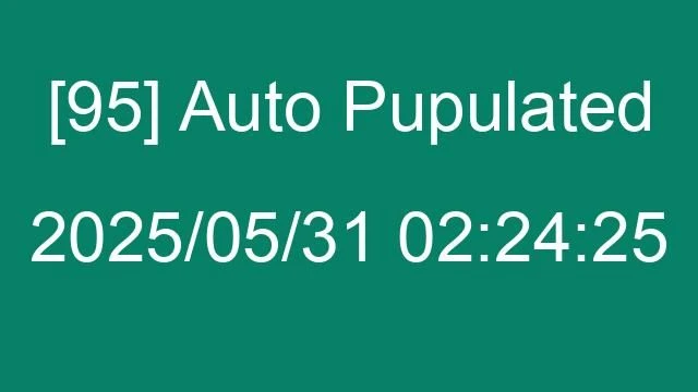 [95] Auto 2025/05/31 02:24:25