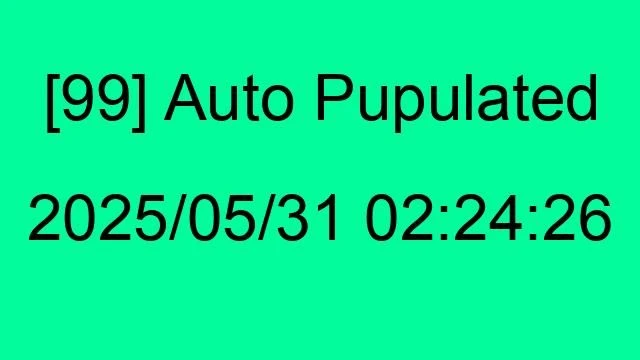[99] Auto 2025/05/31 02:24:26