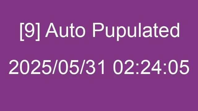 [9] Auto 2025/05/31 02:24:05